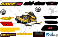 Body - Decals