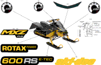 Body - Decals
