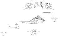 Decals Le