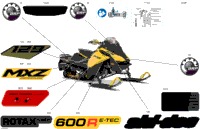 Body - Decals