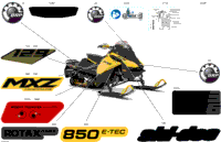 Body - Decals