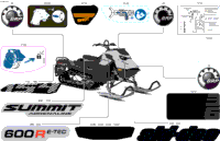 Body - Decals