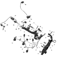 Rotax - Engine Harness - Na