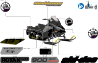 Body - Decals
