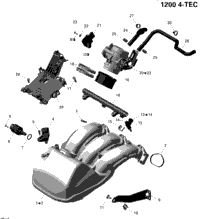 Air Intake Manifold And Throttle Body