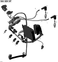 Engine Harness And Electronic Module