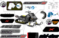Body - Decals