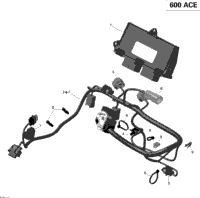 Engine Harness And Electronic Module