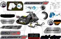 Body - Decals