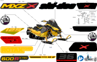 Body - Decals