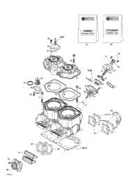 Cylinder, Exhaust Manifold, Reed Valve