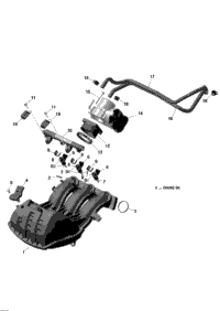 Engine Air Intake System