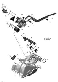 Air Intake Manifold And Throttle Body