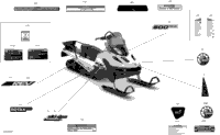 Body - Decals - Lt