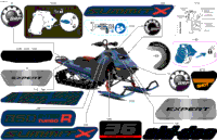 Body - Decals