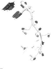 Wiring Harness, Electronic Module