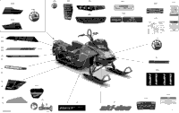 Body - Decals - Sp - 146