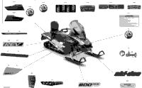 Body - Decals - Sport