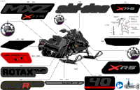 Body - Decals