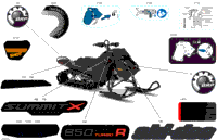 Body - Decals