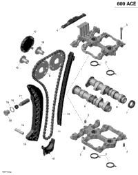 Camshafts And Timing Chain - 600 Ace