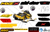 Body - Decals
