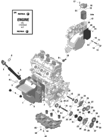 Engine - Lubrication - 900 Ace