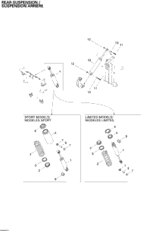 Rear Shocks