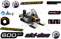 Body - Decals