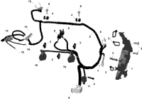 Rotax - Engine Harness And Electronic Module