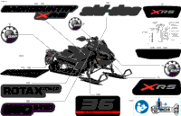 Body - Decals