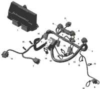Rotax - Engine Harness And Electronic Module
