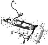 Rotax - Engine Harness And Electronic Module - Na