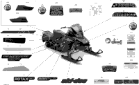 Body - Decals - Enduro