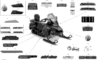 Body - Decals - Ltd