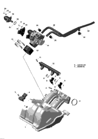 Air Intake Manifold And Throttle Body