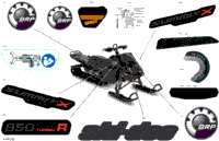 Body - Decals