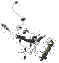 Rotax - Engine Harness And Electronic Module