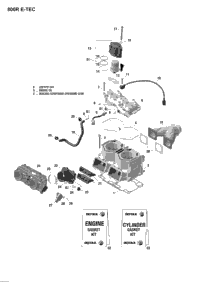Cylinder And Cylinder Head - 800R E-Tec