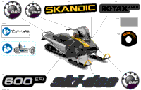 Body - Decals