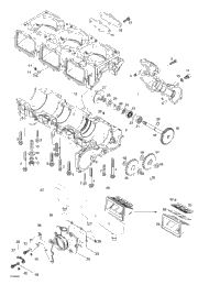 Crankcase, Reed Valve, Water Pump