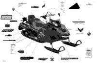 Body - Decals