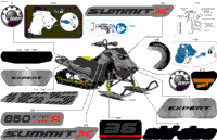 Body - Decals