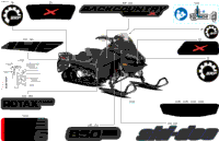 Body - Decals