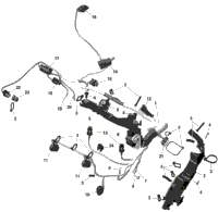 Rotax - Engine Harness And Electronic Module - Dshot