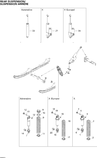 Rear Suspension Shocks