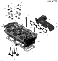 Cylinder And Exhaust Manifold