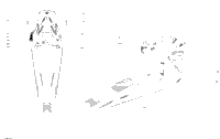 Decals - Package Le