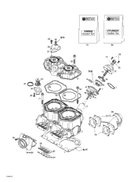 Cylinder, Exhaust Manifold, Reed Valve