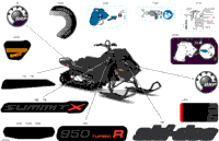 Body - Decals